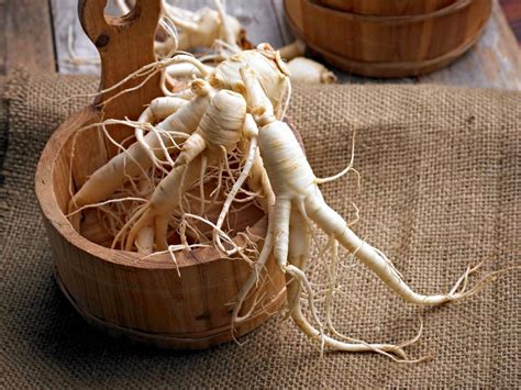 how long to store ginseng